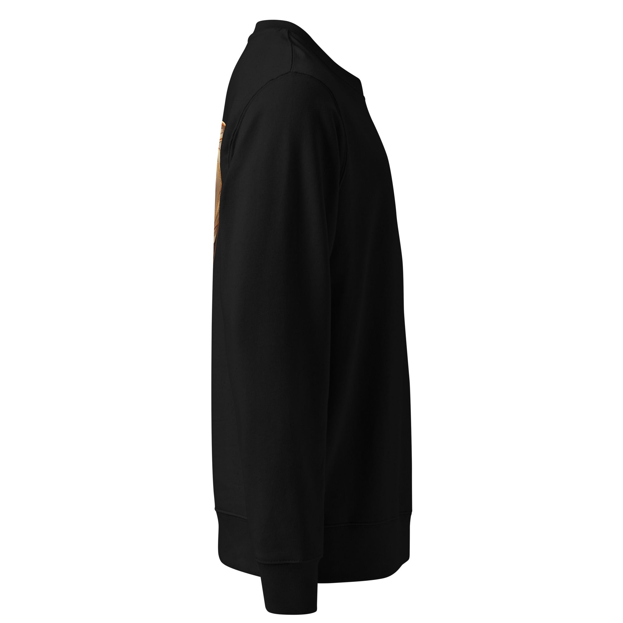 Black sweatshirt on a white background.