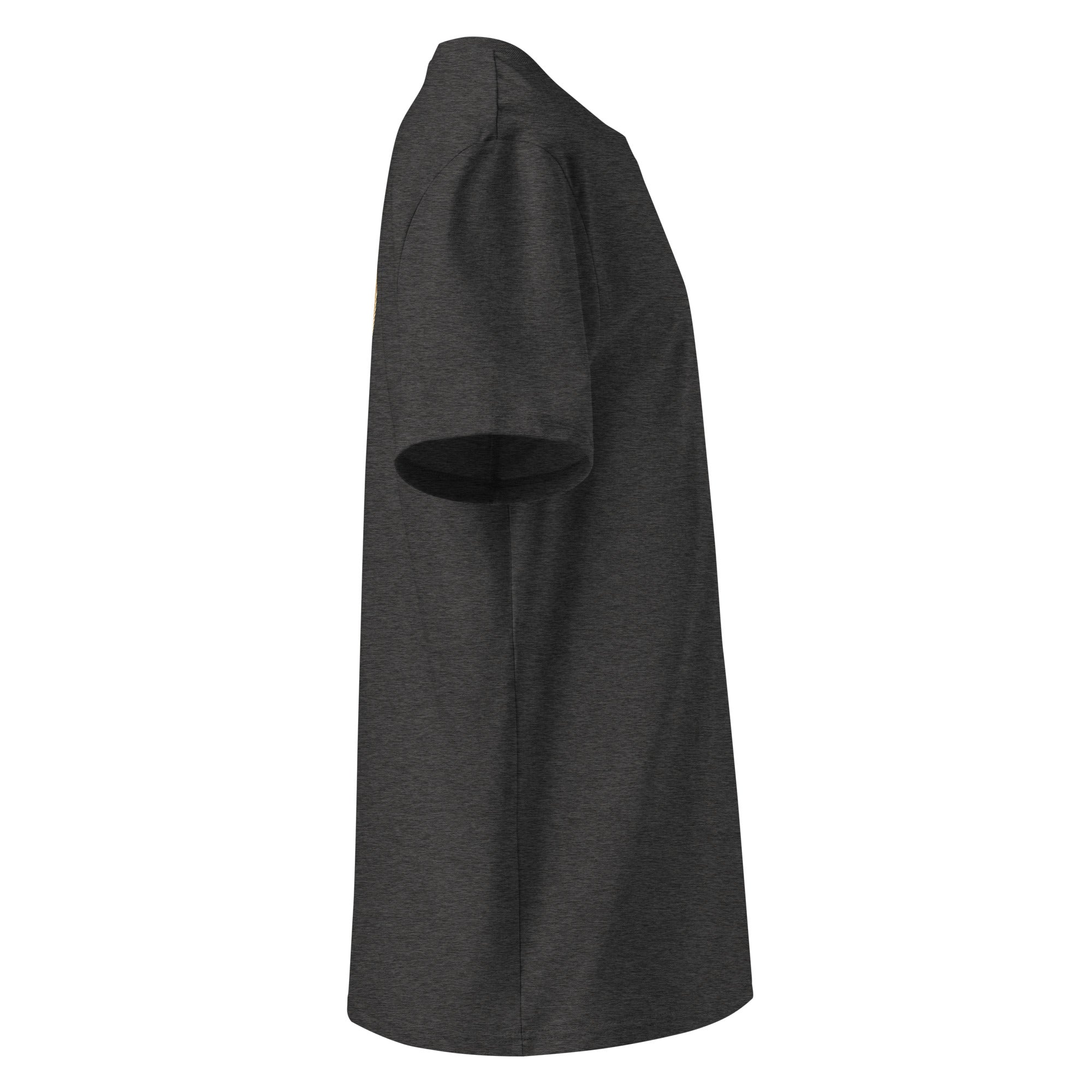 Organic Cotton T-Shirt in Dark Heather Grey shown from the right side.